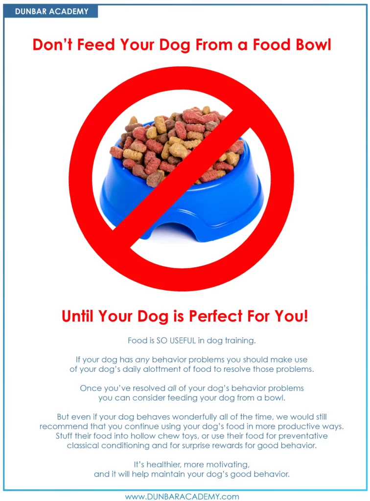 Dunbar academy - don't feed your dog from a food bowl - hersenwerk voor honden - artikelen - Dog Dimension